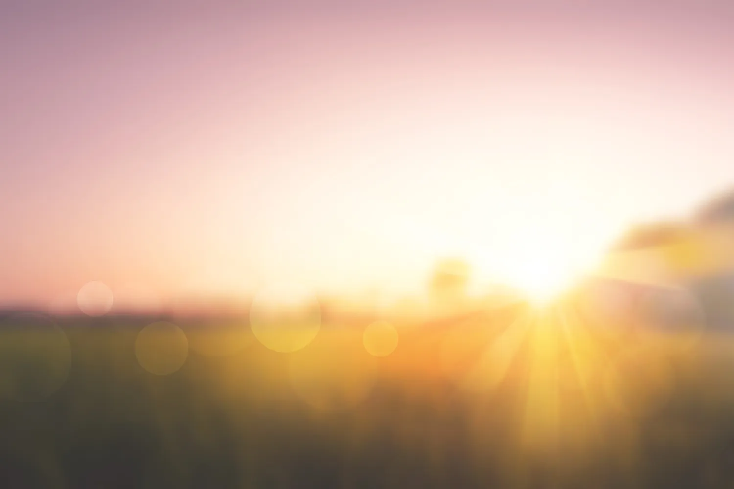 Süße Wiesen bei Sonnenuntergang verschwommener Hintergrund